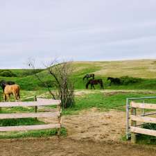 McIntyre Ranch | 866J+55 Abound, Saskatchewan, Abound, SK S6H 7K8, Canada