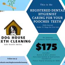 Dog House Teeth Cleaning | 8 Rhine Meadow Rd, Heidelberg, ON N0B 2M1, Canada