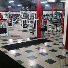 Steel City Health & Fitness 24 Hours | 37570 31 Mile Rd, Richmond, MI 48062, USA