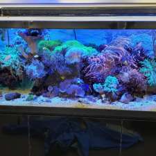 Coral Reefs & Aquariums | 20 Davenrich Ct, Brampton, ON L6Z 1N6, Canada