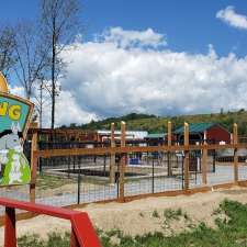 The Big Apple Petting Zoo | 262 Orchard Rd, Colborne, ON K0K 1S0, Canada