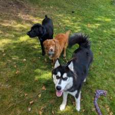 Rudy's Dog Walking Adventures | 126 Cole Dr, Dartmouth, NS B2W 6K5, Canada