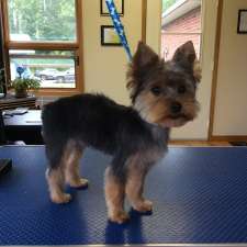 Dirty Paws Dog Spa | 9327 Cooper Hill Rd, Edwards, ON K0A 1V0, Canada