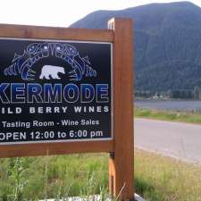 Kermode Wild Berry Winery | 8457 River Rd S, Dewdney, BC V0M 1H0, Canada