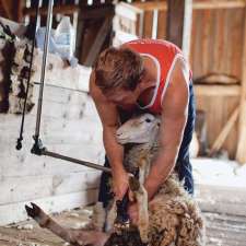 Great Lakes Shearing Co. - Don Metheral | 3150 Concession 8 Nottawasaga Rd, Glen Huron, ON L0M 1L0, Canada