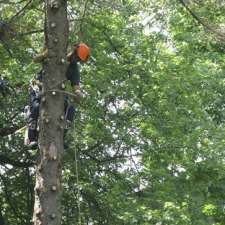 STS Tree Services | 7531 Ninth Line, Mississauga, ON L5N 0C1, Canada