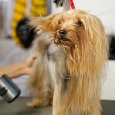 PAWsome Groomers | 3300 Gregoire Rd, Russell, ON K4R 1E5, Canada