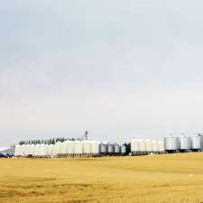 Wylie Seed and Processing | Box 250, Biggar, SK S0K 0M0, Canada