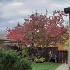 Bow Valley Tree Services | 304 Silvercreek Close NW, Calgary, AB T3B 4G5, Canada