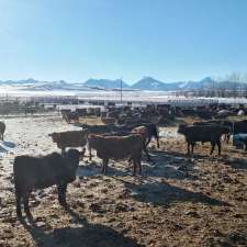 Diamond 8 Cattle Co. | Pincher Creek No. 9, AB T0K 1W0, Canada