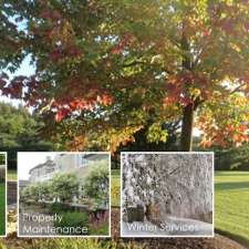 Green Ventures Landscape Care Limited | 75 Howard Pl, Kitchener, ON N2K 2Z4, Canada