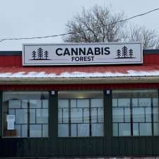 Cannabis Forest | 2 Ottawa St W Unit B, Havelock, ON K0L 1Z0, Canada