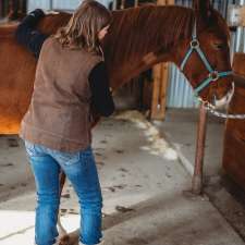 THE KNOT WHISPERER Equine Massage Therapy | Turner Valley, AB T0L, Canada