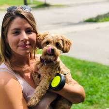 Breslau Happy Tails Dog Walking Services | 58 Trowbridge St, Breslau, ON N0B 1M0, Canada