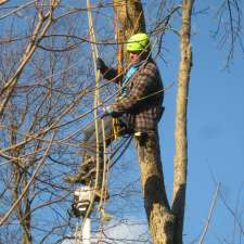 Greely Tree Services | 7022 Donwel Dr, Greely, ON K4P 1B9, Canada