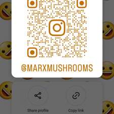 Marx mushrooms | #6083, Southwold, ON N0L 2G0, Canada