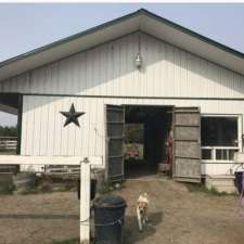 Cache Creek Stable | 791 Arcand Rd, Cache Bay, ON P0H 1G0, Canada