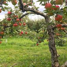 An Orchard Setting/Speaker Lone Oak Orchard | 7353 Brockway Rd, Melvin, MI 48454, USA