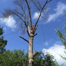 Higher Ground Tree Services | 7224 32nd side road, Acton, ON L7J 2L9, Canada