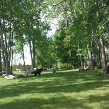 Camp Canine | 12195 Fourth Line Nassagaweya, Rockwood, ON N0B 2K0, Canada