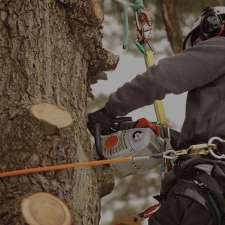 Apex Tree Surgeons - Tree Services Orillia | 4 Cheslock Cres, Orillia, ON L0K 2G0, Canada