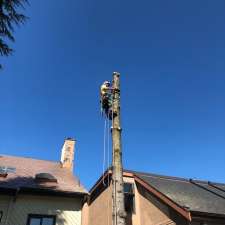 Roots & Connections Tree Service | 1572 Giles Pl, Burnaby, BC V5A 3K6, Canada