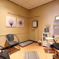 Pawsitive Veterinary Care | 1551 Sutherland Ave, Kelowna, BC V1Y 9M9, Canada