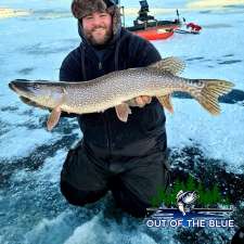 Out of the Blue Aquatic Adventures | 281 River Ave, Winnipeg, MB R3L 0B7, Canada