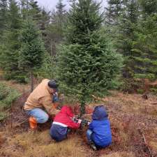 Northern Lights Christmas Tree Farm | 3200 Clam Harbour Rd, Lake Charlotte, NS B0J 1Y0, Canada