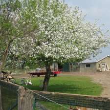 Sunny Meadow Farm | 3073 Flos Rd 5 W, Phelpston, ON L0L 2K0, Canada