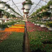 Erkelens Greenhouses | 5237 Governors Rd, Lynden, ON L0R 1T0, Canada
