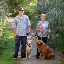 Round Trip Dog Walking & Pet Sitting | 293 Buckingham Dr, Stillwater Lake, NS B3Z 1G8, Canada