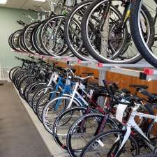 Steve's Place Bicycles & Repair | 181 Niagara Blvd, Fort Erie, ON L2A 3G7, Canada