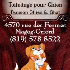 Anima-Zen Toilettage de chien et Pension pour chien & chat | 4570 Rue des Fermes, Orford, QC J1X 7L9, Canada