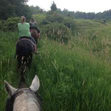 Big Creek Horse Stables - Horseback Riding | 386 Big Creek Rd, Caledonia, ON N3W 2G9, Canada
