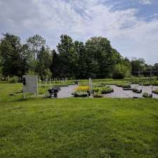 Native Plants in Claremont | 4965 Westney Rd N, Claremont, ON L1Y 1A2, Canada