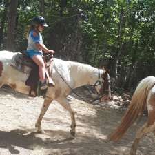 Kicking Mule Riding Stables & Cook House | 55 Gauthier Rd, Tehkummah, ON P0P 2C0, Canada