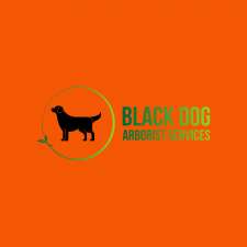 Black Dog Arborist Services | 2567 County Rd 36, Buckhorn, ON K0L 1J0, Canada