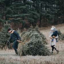 Smalley's Christmas Trees | 7259 Durham Regional Rd 30, Mount Albert, ON L0G 1M0, Canada