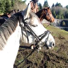 Alpine Stables | 3700 Holland Ave, Cobble Hill, BC V0R 1L3, Canada