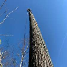 Barks Tree Service | 46 Eder Trail, Minesing, ON L9X 0G8, Canada