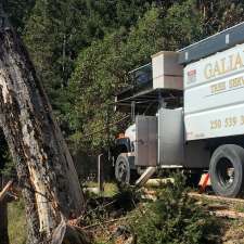 Galiano Tree Service | 398 Morgan Rd, Galiano Island, BC V0N 1P0, Canada