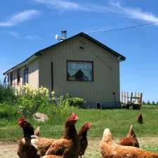 Chicken Thika Farm | 7687 Sideroad 2 E, Kenilworth, ON N0G 2E0, Canada